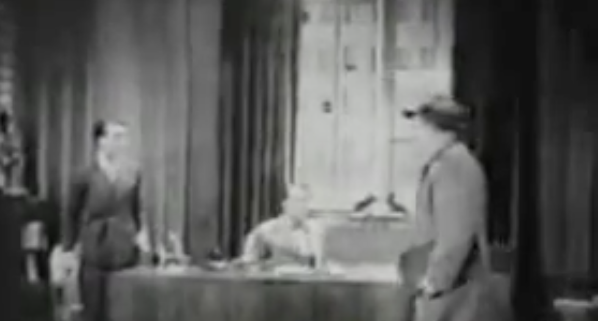 Parodia del mundo de la Publicidad en Muchachada Nui