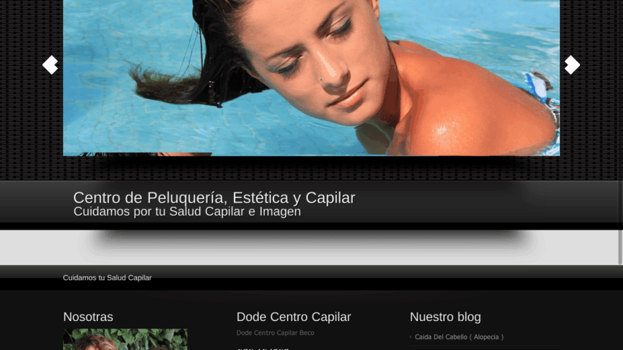 Diseño Web y Gráfico Pelosano.es