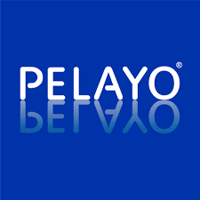 Posicionamiento web SEO en Granada Cristalería Pelayo