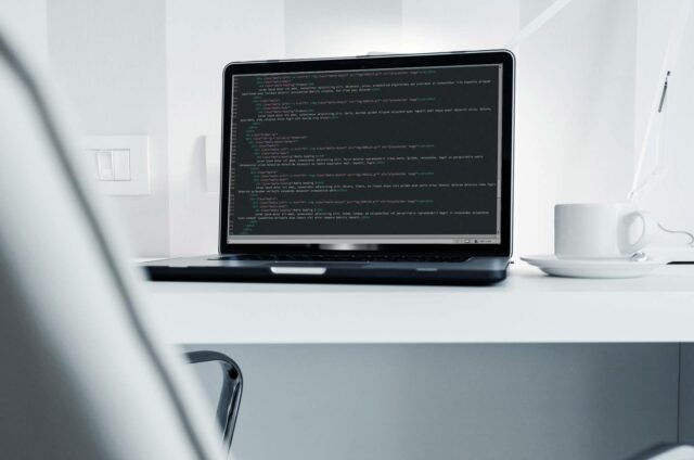 Diferentes tipos de profesionales de WordPress