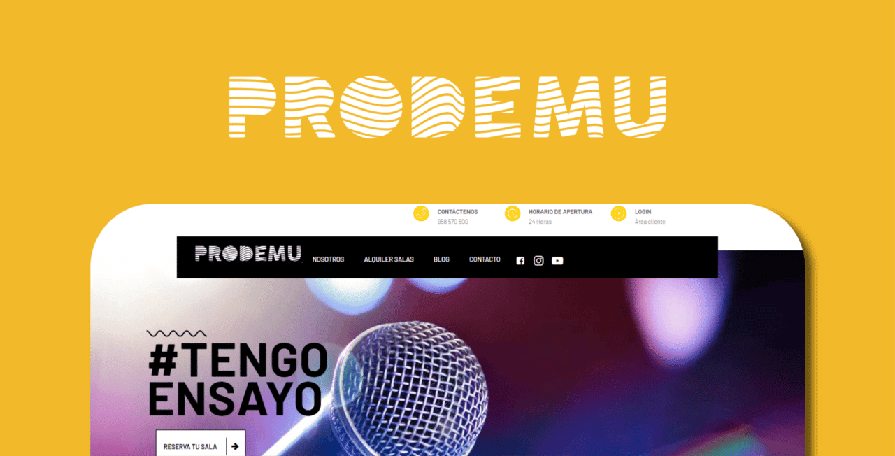 Diseño Web: Prodemu