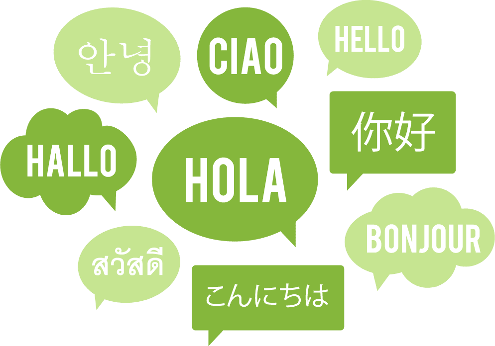 imagen página multilingue en desarrollo web wordpress