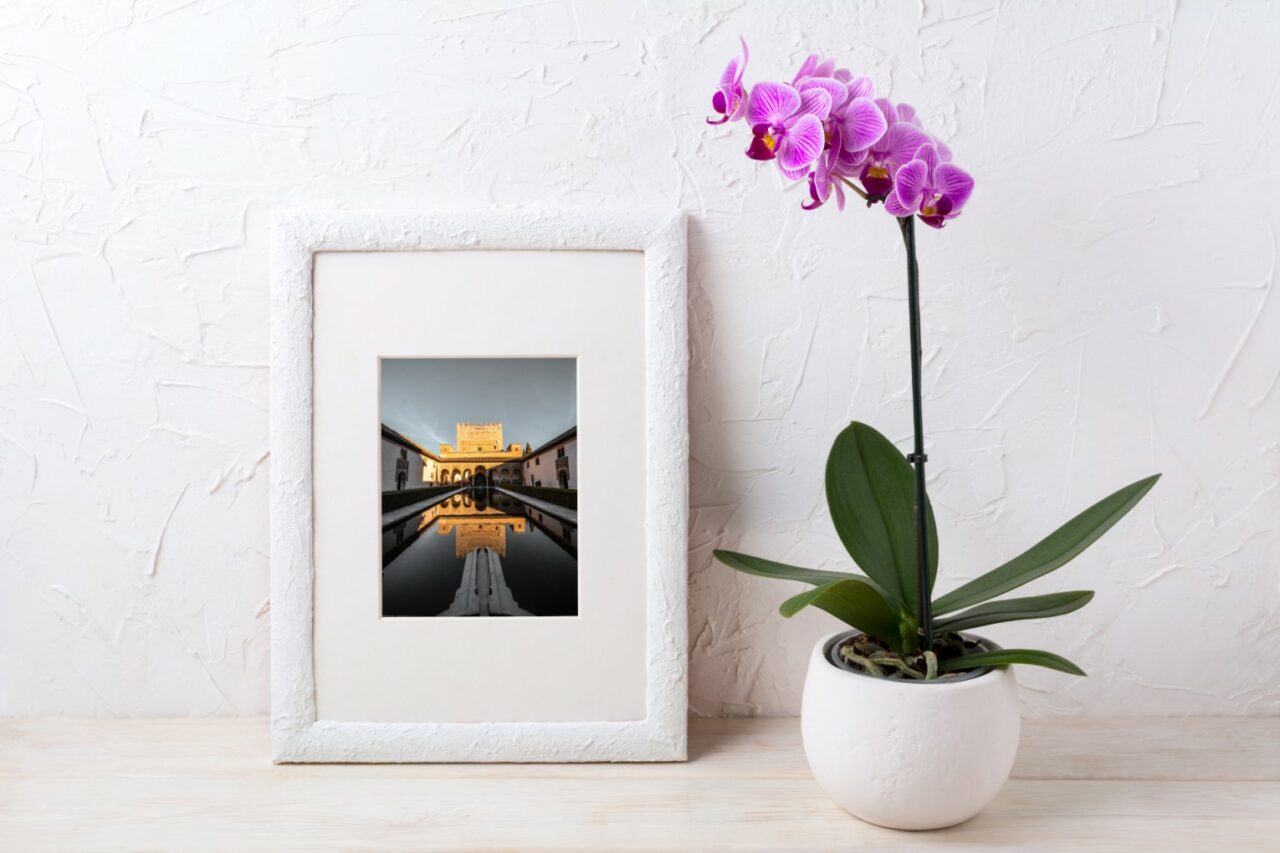 Diseño Tienda Online: Atrezo Floristas