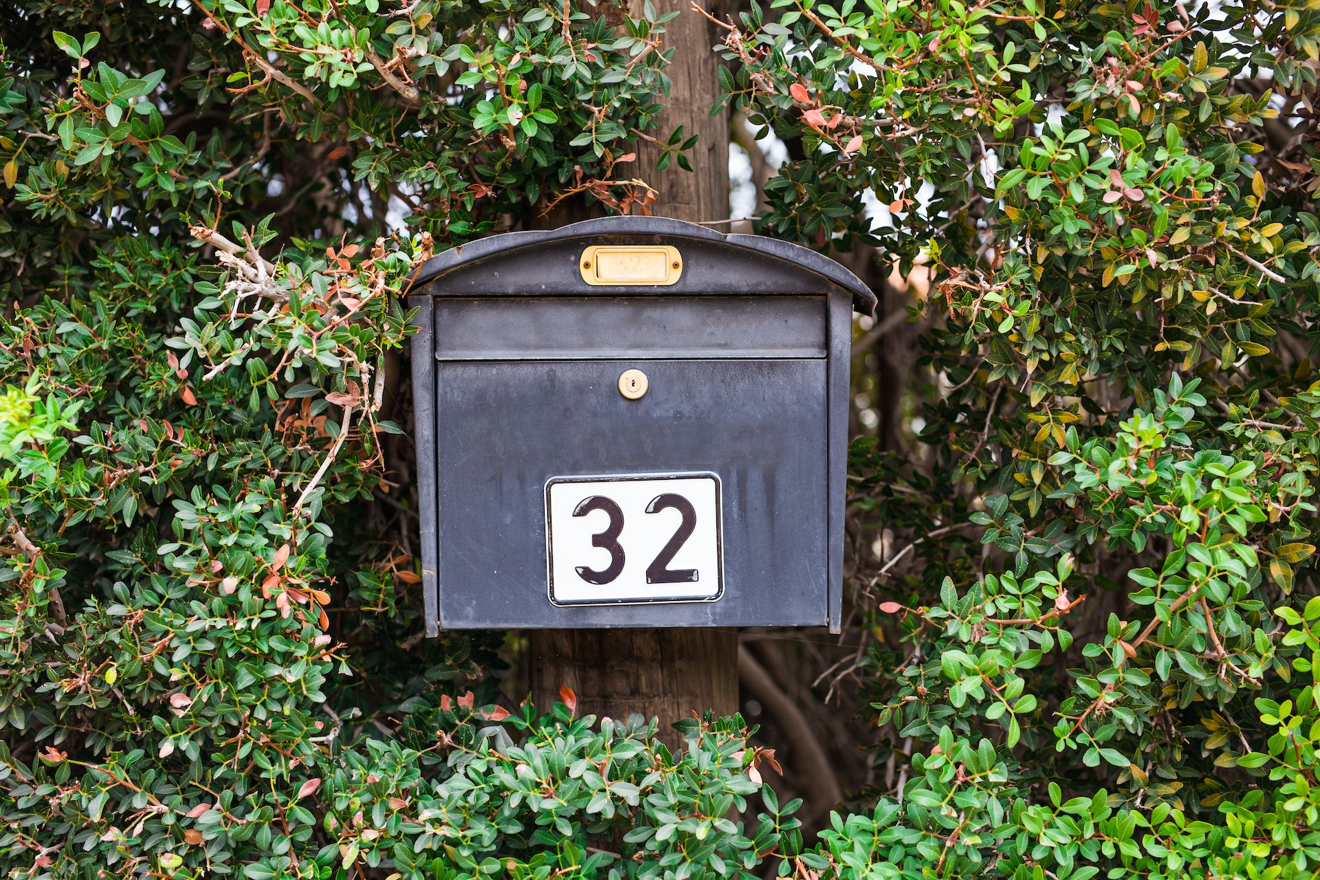 Somos Expertos en MailerLite