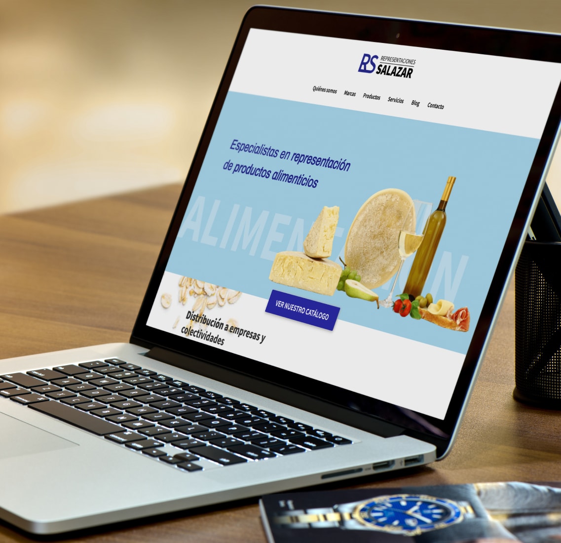 Diseño web: Representaciones Salazar