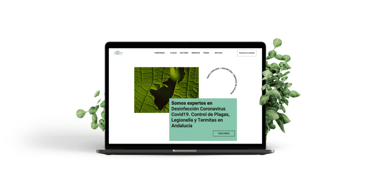 Diseño web Gimasur