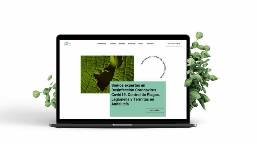 Diseño web Gimasur