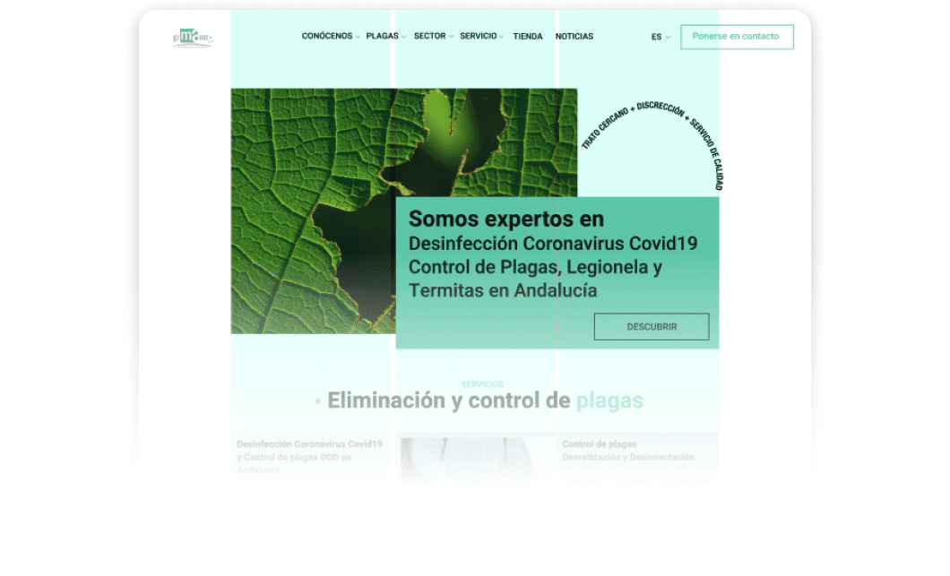 Diseno Web Gimasur