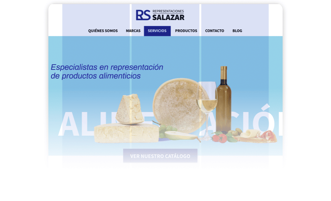 Diseno Web Representaciones Salazar