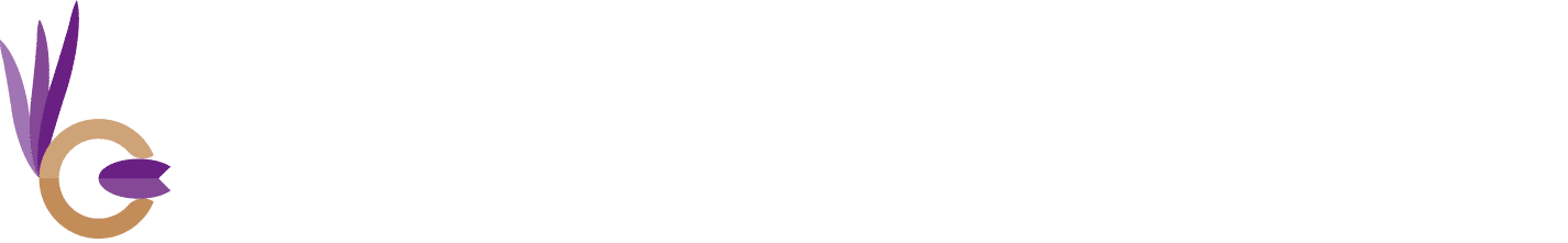 Posicionamiento web SEO en Granada APROSOJA