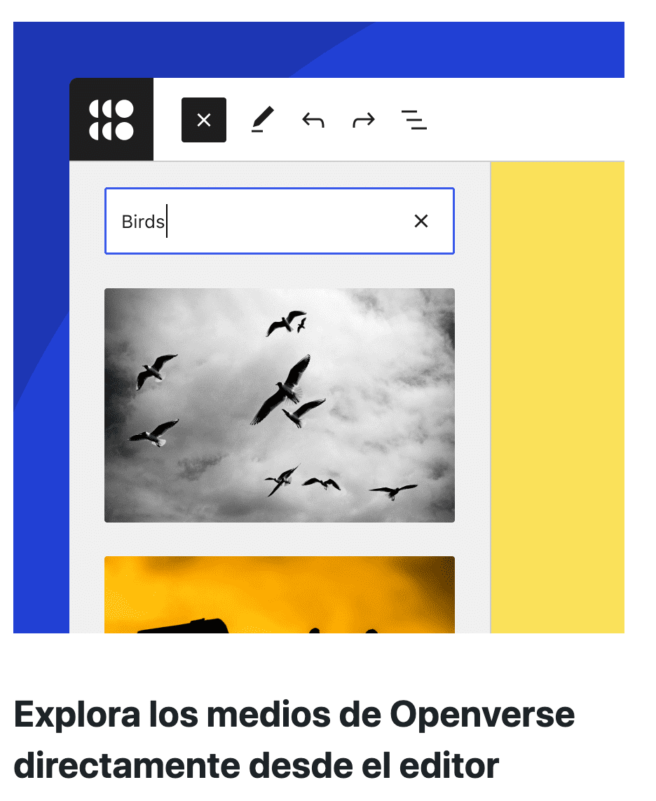 Wordpress 6 2 Openverse