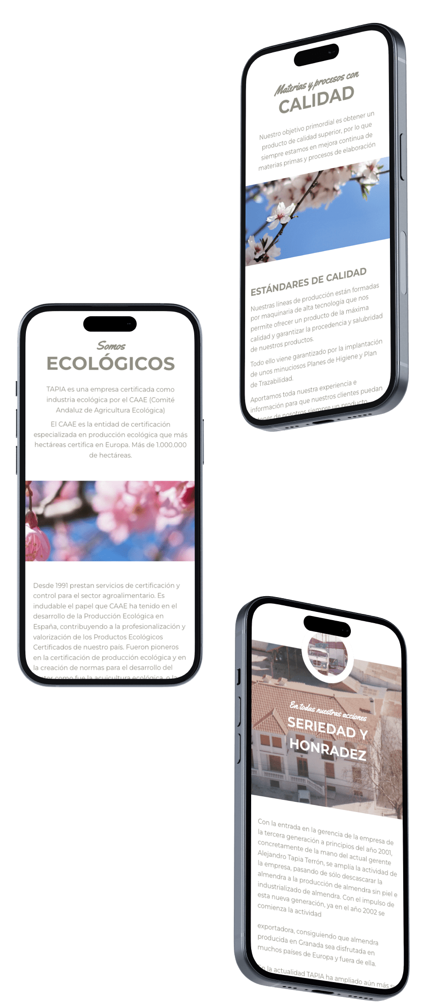 Desarrollo Web Para Tapia Food Movil