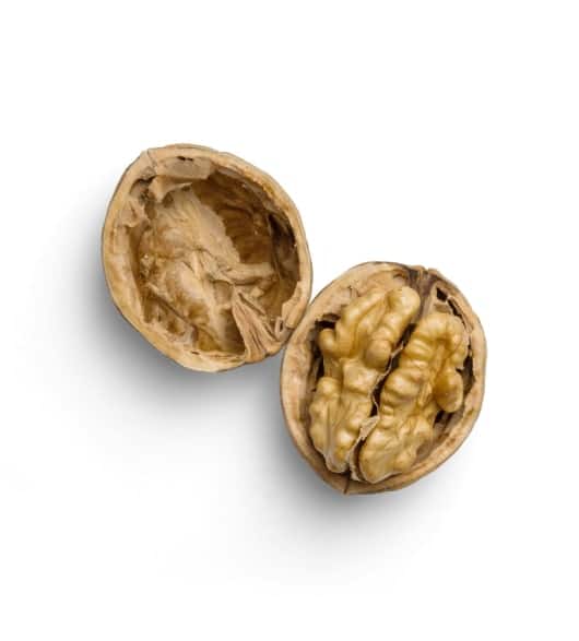 Frutos Secos 2