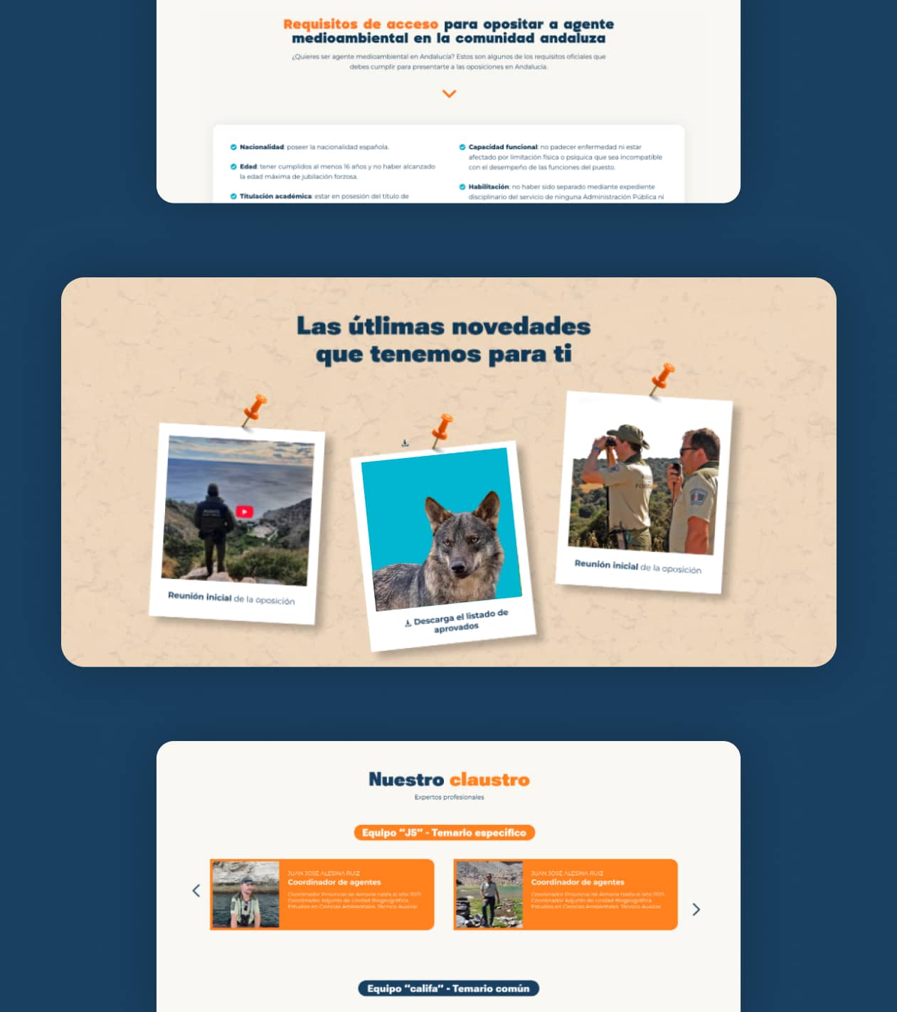 Diseño Web Para Academias A Medida