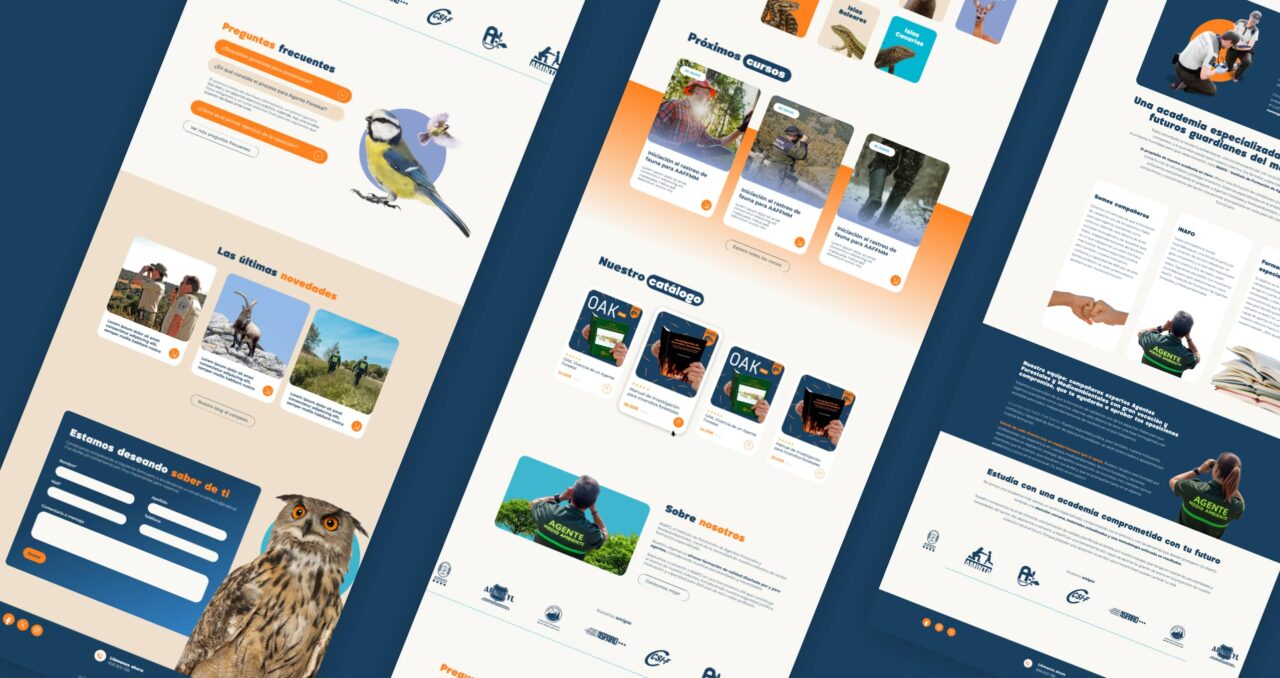 Diseño Web Para Academias Landings