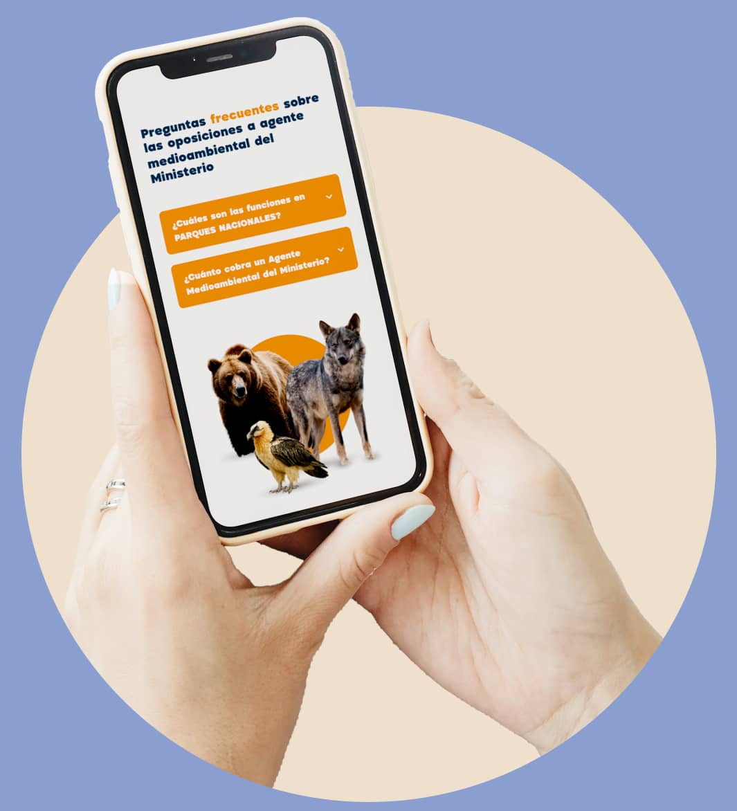 Diseño Web Para Academias Online