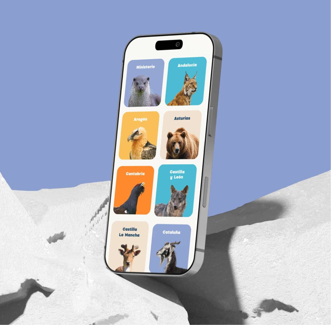 Diseño Web Para Academias Responsive A Medida