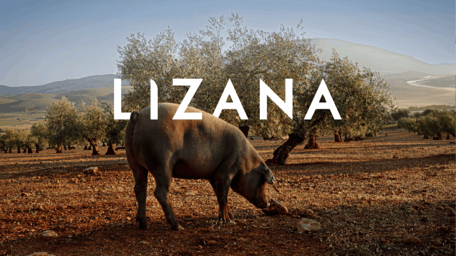 Casa Lizana: gestión de RRSS